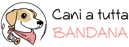 cani a tutta bandana